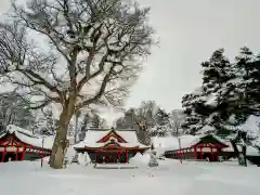 北海道護國神社の景色