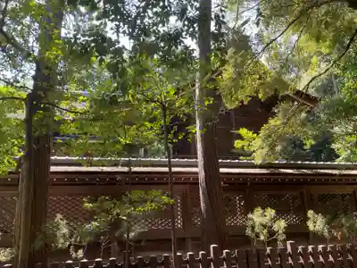 伊弉諾神宮(兵庫県)