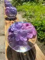 般若寺 ❁コスモス寺❁(奈良県)