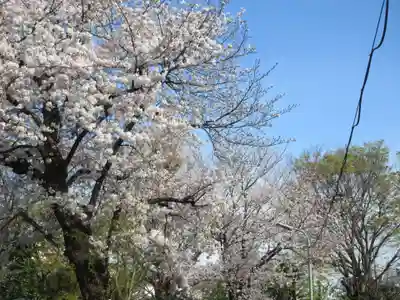 池上本門寺(東京都)