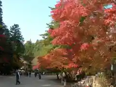 神護寺(京都府)