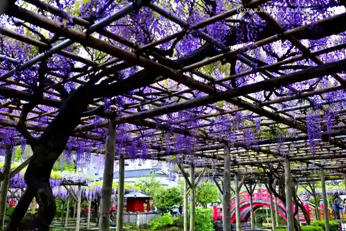 亀戸天神社(東京都)