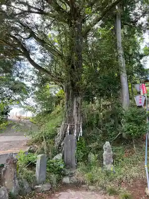 鹿島神社(福島県)