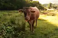 祖母神社(熊本県)