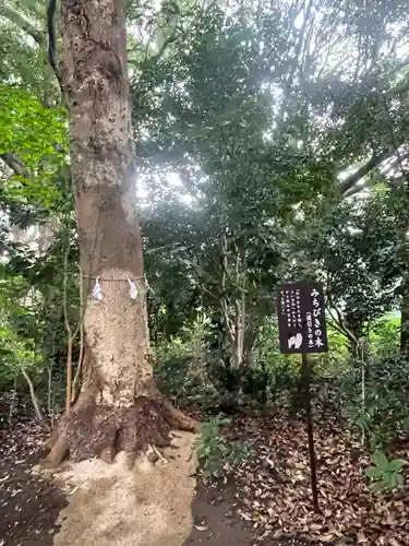 鶴嶺八幡宮の自然