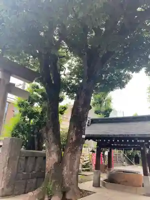 麻布氷川神社(東京都)