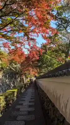 善峯寺(京都府)