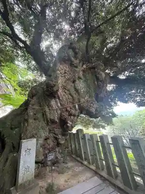 楽法寺(雨引観音)(茨城県)
