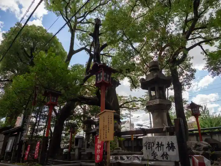 若一神社(京都府)