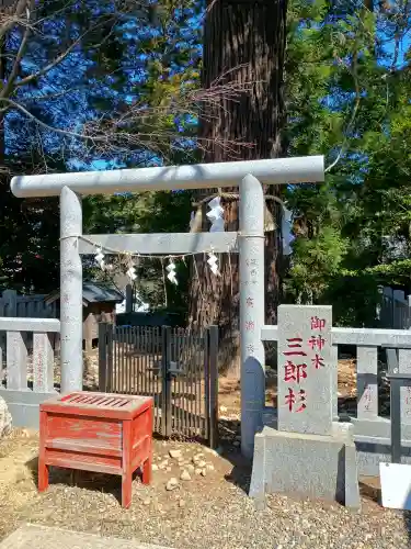 大杉神社の{uncategorized: "未分類", other: "その他", undefined: "問題あり", building: "その他建物", grave: "お墓", sacred_gate: "鳥居", guardian: "狛犬", statue: "像", buddha: "仏像", history: "歴史", nature: "自然", garden: "庭園", animal: "動物", pagoda: "塔", temizu: "手水舎", mountain_gate: "山門・神門", sanctuary: "本殿・本堂", subordinate: "末社・摂社", art: "芸術", scenery: "景色", jizo: "地蔵", ema: "絵馬", goshuin: "御朱印", omikuji: "おみくじ", items: "授与品その他", amulet: "お守り", goshuincho: "御朱印帳", eats: "食事", festival: "お祭り", votive_dance: "神楽", shichigosan: "七五三参", wedding: "結婚式", experience: "体験その他", initially: "初詣", around: "周辺", anti_infection: "感染症対策"}