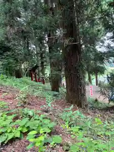 大宮温泉神社(栃木県)(2023年06月15日(木) 08時08分46秒投稿)