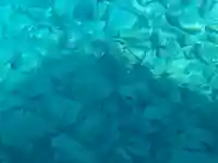 外泊天満神社の周辺