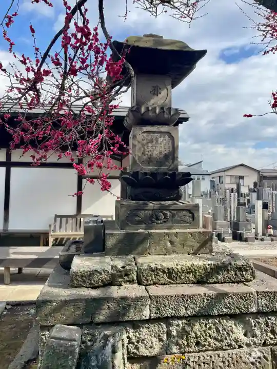 城官寺の{uncategorized: "未分類", other: "その他", undefined: "問題あり", building: "その他建物", grave: "お墓", sacred_gate: "鳥居", guardian: "狛犬", statue: "像", buddha: "仏像", history: "歴史", nature: "自然", garden: "庭園", animal: "動物", pagoda: "塔", temizu: "手水舎", mountain_gate: "山門・神門", sanctuary: "本殿・本堂", subordinate: "末社・摂社", art: "芸術", scenery: "景色", jizo: "地蔵", ema: "絵馬", goshuin: "御朱印", omikuji: "おみくじ", items: "授与品その他", amulet: "お守り", goshuincho: "御朱印帳", eats: "食事", festival: "お祭り", votive_dance: "神楽", shichigosan: "七五三参", wedding: "結婚式", experience: "体験その他", initially: "初詣", around: "周辺", anti_infection: "感染症対策"}