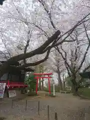 尾曳稲荷神社の建物その他