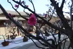 菅原天満宮（菅原神社）の自然