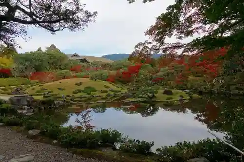 興福寺の庭園