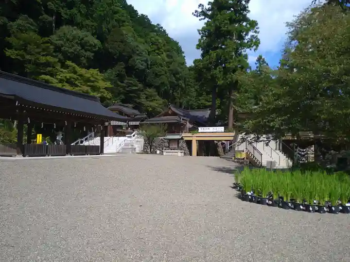 高麗神社(埼玉県)