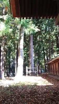 諏訪大社下社秋宮(長野県)