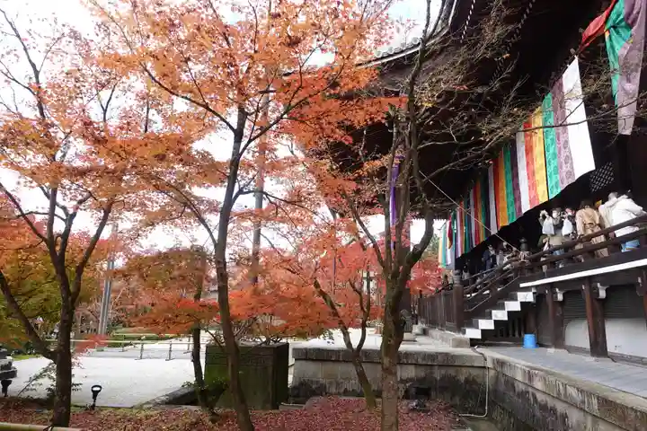 禅林寺(永観堂)(京都府)