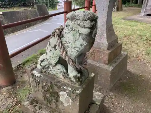 八坂神社の狛犬