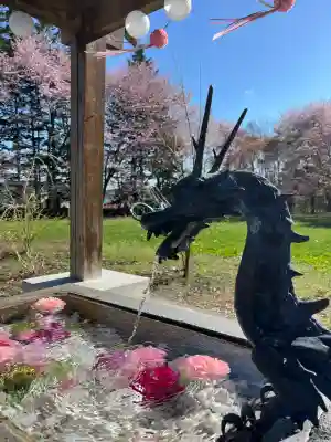 鹿追神社の手水舎