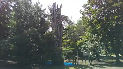 砂川神社の自然