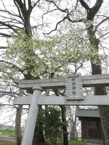 神明神社(千葉県)