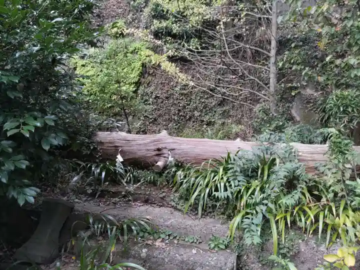 大綱金刀比羅神社の自然