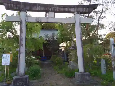 竹生島神社の鳥居