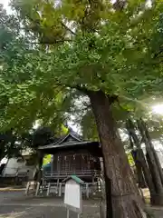 千住神社(東京都)