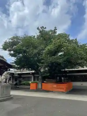 旗岡八幡神社(東京都)