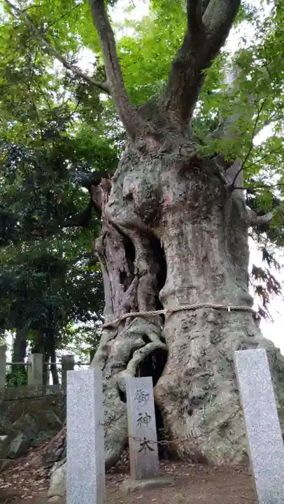 蓑笠神社の自然