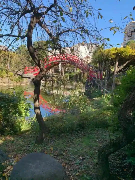 亀戸天神社の庭園