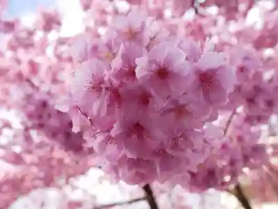 米之宮浅間神社(静岡県)