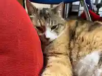 秩父札所十三番 慈眼寺(埼玉県)