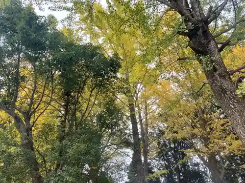 川北神社の自然