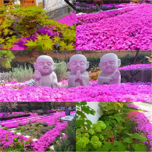 寿量山　速成寺(奈良県)