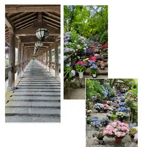 長谷寺(奈良県)