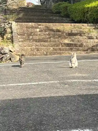 亀岡神社(長崎県)