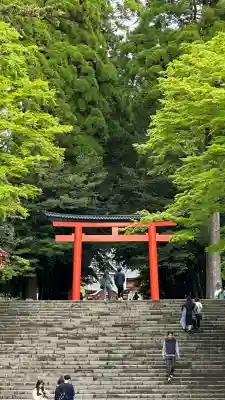霧島神宮(鹿児島県)