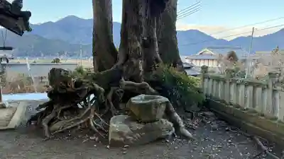 聖神社(兵庫県)