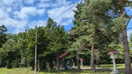 雨龍神社の自然