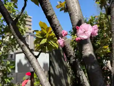 福王山  慈眼寺(東京都)