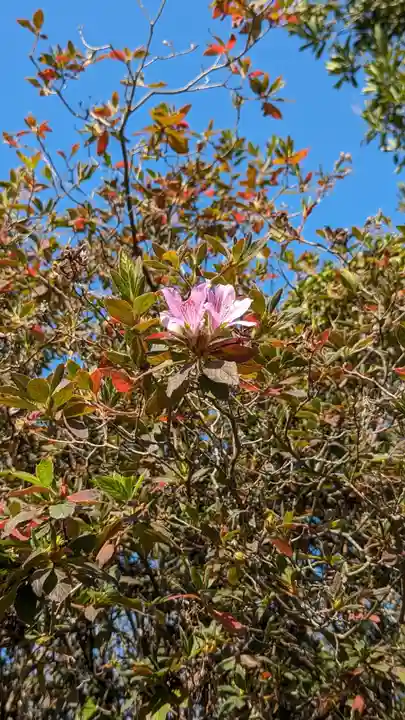 勧修寺(京都府)