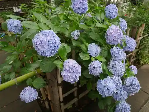 愛宕神社の自然