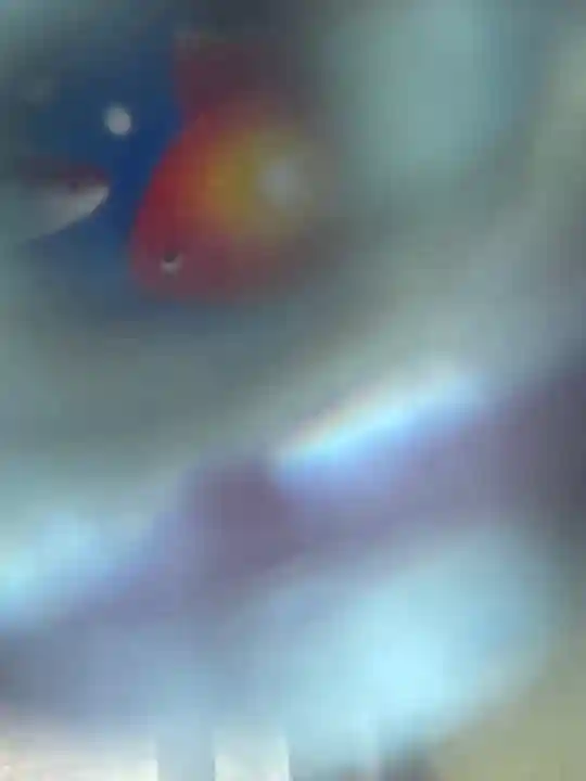 釧路一之宮 厳島神社(北海道)