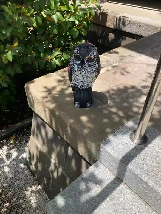 桜神宮(東京都)