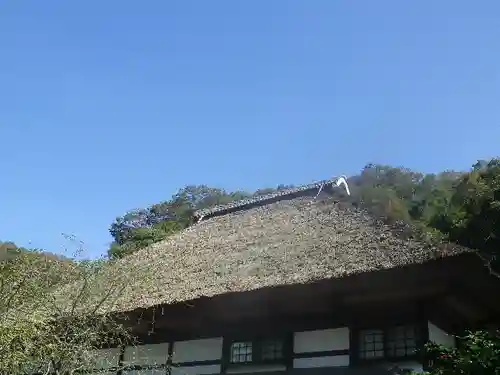 海蔵寺の景色