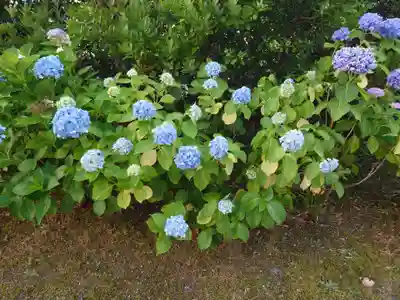 八雲神社の自然