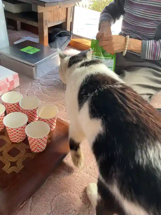 一心寺・一心禅寺の動物